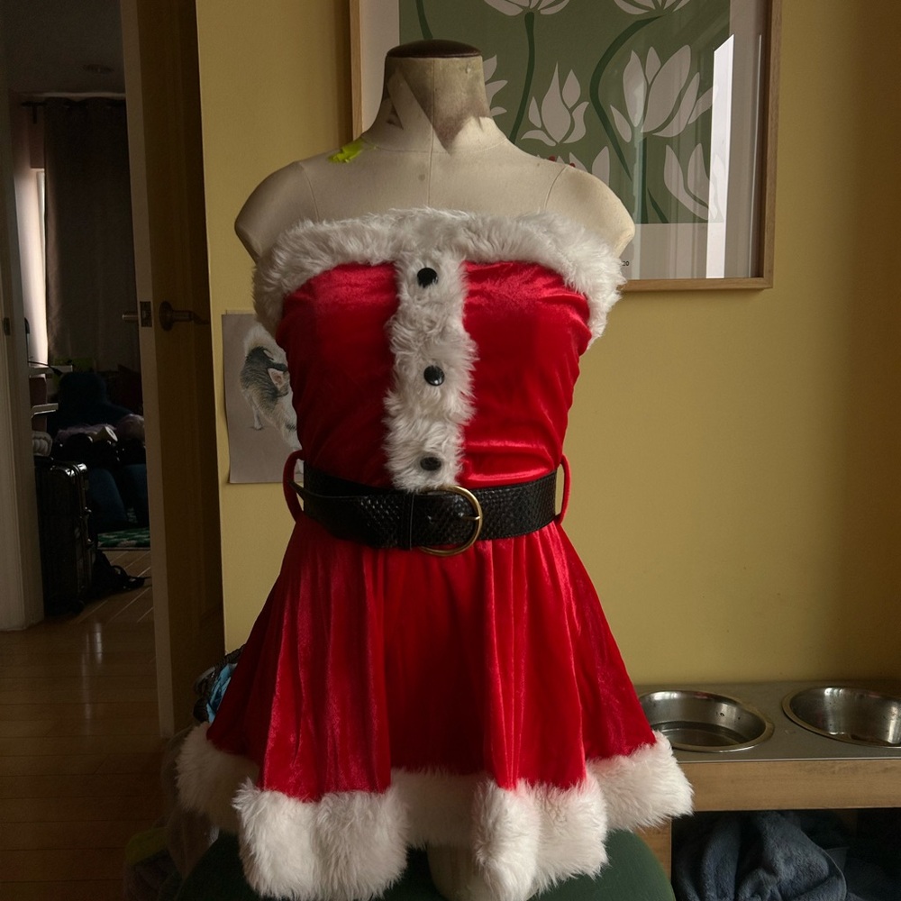 Dreamgirl Red Velvet Santa Dress